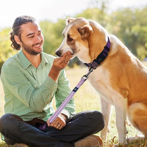 Roses&Poetry Small Dog Collar and Leash Set, Puppy Reflective Leashes with Collars, Adjustable Durable Matching Collar Leash for Small Dogs Girl (Lightpurple-S) - color: LightPurple, size: S