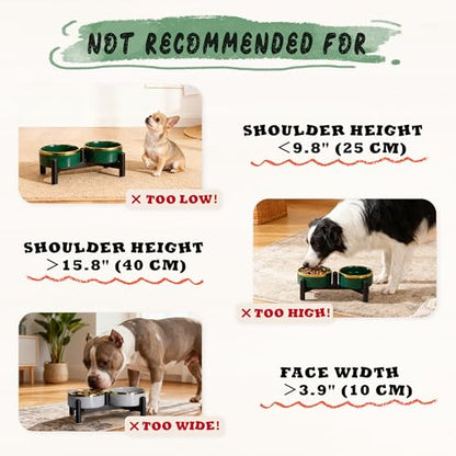 Elevated Ceramic Dog Bowl Set - Double Dishes with Stainless Steel Stand – Raised Feeding Bowls for Cats and Small Dogs - Food & Water Set - 5" / 1.6 Cups (160 g / 300 ml) - Green - color: Green, size: S