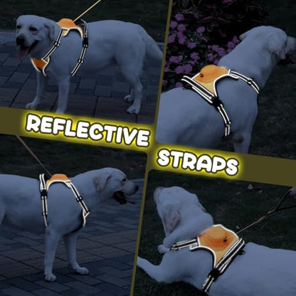3-in-1 Dog Harness with Built-in Leash, Comfortable Dog Walking Harness with Extendable Lead, Heavy Duty Dog Harness for Large Dogs, Auto-Lock & Tug Control (Orange-M)