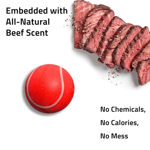 Playology Dog Toys | Squeaky Chew Ball for Dogs | Beef Scented Medium Dog Ball | Bouncy Floating Chew Toys for Fetch - size: Medium, style: Beef