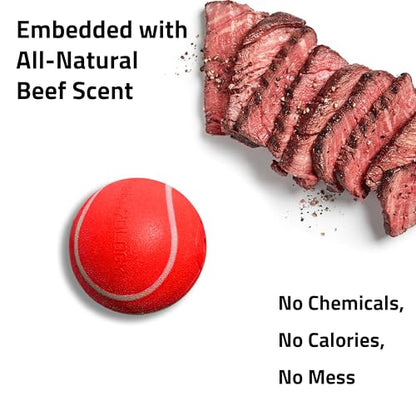 Playology Dog Toys | Squeaky Chew Ball for Large Dogs | Beef Scented Jumbo Dog Ball | Bouncy Floating Chew Toys for Fetch - size: Jumbo, style: Beef