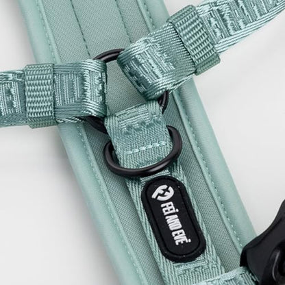 Fei & Eve Moxie Dog Harness for Small & Medium Dogs, Glacier Green, XS | Lightweight Design, 3-Point No-Pull Control, Quick Release Metal Buckle - color: Glacier Green, size: XS