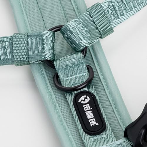Fei & Eve Moxie Dog Harness for Small & Medium Dogs, Glacier Green, M | Lightweight Design, 3-Point No-Pull Control, Quick Release Metal Buckle - color: Glacier Green, size: M