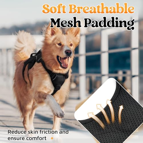 rabbitgoo Escape Proof Dog Harness, Soft Padded Full Body Pet Harness, Reflective Adjustable No Pull Vest with Lift Handle and Leash Clip for Large Dogs Walking Hiking Training, M, Black - color: Black, size: Medium (Pack of 1)