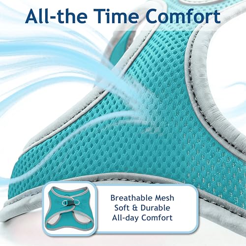 Kruz Dog Harness (Chest 16"-17", Weight 10–15 lbs) Athletica Adjustable Heavy Duty No Choke Puppy Vest for Small Dogs Lightweight Air Mesh, Reflective, Puppy Essentials – Turquoise, Medium - color: Turquoise, size: Medium