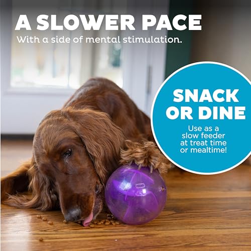 Outward Hound Orbee-Tuff Mazee Interactive Dog Puzzle Toy, Treat Dispensing Slow Feeder Ball, Purple, 4.7-Inch - color: Purple
