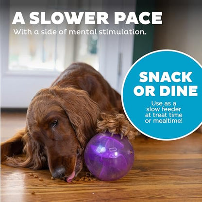Outward Hound Orbee-Tuff Mazee Interactive Dog Puzzle Toy, Treat Dispensing Slow Feeder Ball, Purple, 4.7-Inch - color: Purple
