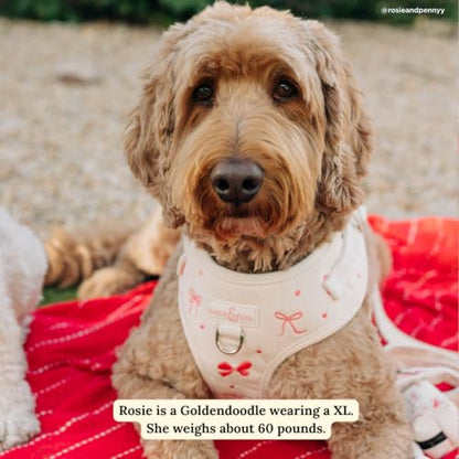 Lucy & Co. Ever So Sweet No-Pull Dog Harness, Adjustable Front Clip Harness with Comfort Padding, X-Large - color: Ever So Sweet, size: X-Large