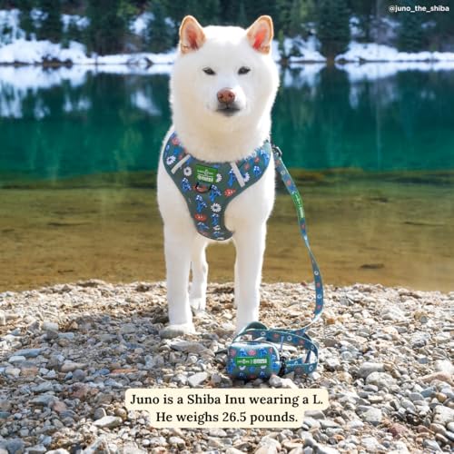 Lucy & Co. x Parks Project Power to the Parks No-Pull Dog Harness, Adjustable Front Clip Harness with Comfort Padding, X-Large - color: Power to the Parks, size: X-Large