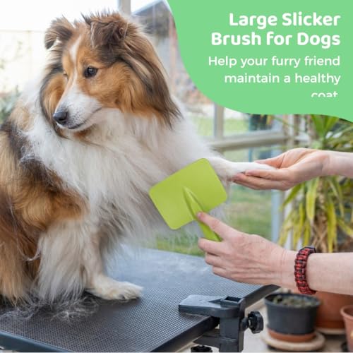 Extra Long Pin Dog Slicker Brush, Firm Grooming & Dematting Brush, Comfortable Hair Removal Tool For Long, Thick Coats