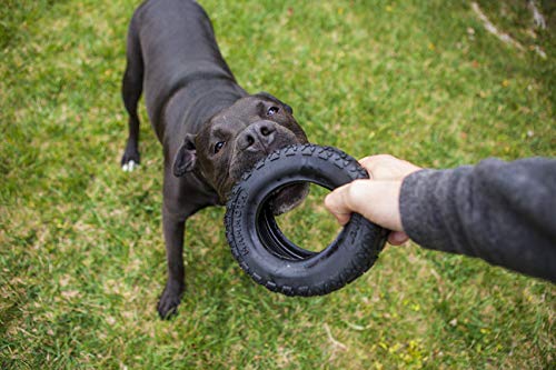 Mammoth TireBiterII – Natural Rubber Dog Toys for Extreme Chewers – Dog Toys for Extra Long Interactive Play – Aggressive Chewer Toys for Medium - Large Dogs - Large 6” - size: Large 6", style: Tire