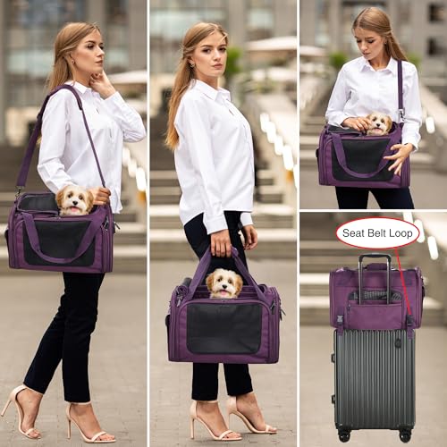 EliteField Deluxe Soft-Sided Pet Carrier (3 Year Warranty, Airline Approved), Travel Bag for Dogs, Cats & Small Pets, with Expandable Mat - color: Purple, size: Large: 20"L x 12"W x 12"H