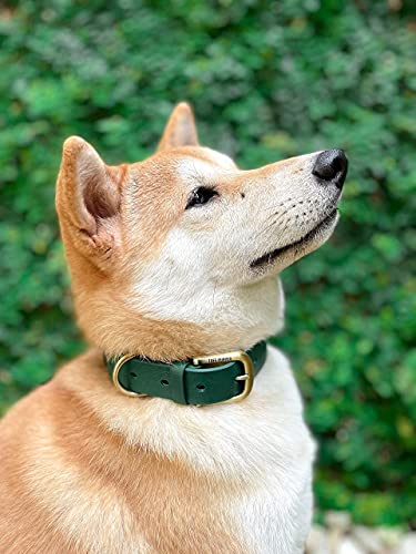 Tuff Pupper Classic Heavy Duty Dog Collar | 10x Stronger Than Leather | 100% Waterproof & Odor Proof Dog Collar | Tough Rust-Proof All Metal Hardware - color: Forest Green