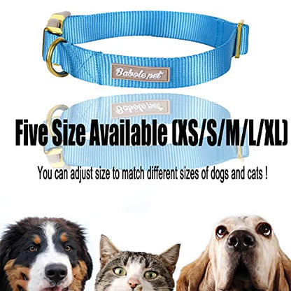 Nylon Dog Collar - Adjustable Blue Soft Webbing Dog Collars for Small Medium Large Dogs Boy Girl Puppy Collar with Safety Metal Buckle XS - color: Nylon-Blue, size: XS