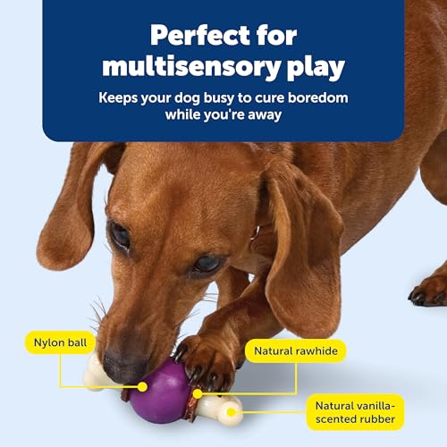 PetSafe Busy Buddy Bouncy Bone, Treat Holding Dog Toy, Small, Best for Dogs Up to 10 Lb. - size: Small, style: Bouncy Bone