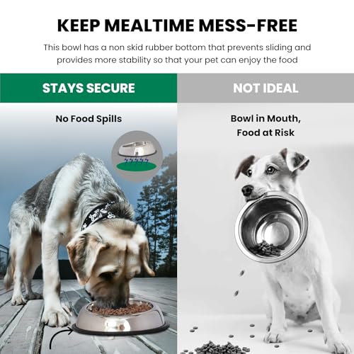 Iconic Pet 8 Cup/64 Oz Heavy Weight Non-Skid Stainless Steel High Back Pet Food/Water Bowls with Removable Anti Skid Rubber Ring - Dog/Cat Feeding Bowl in Unique Design, Dishwasher Safe - size: 8 Cup/64 oz.