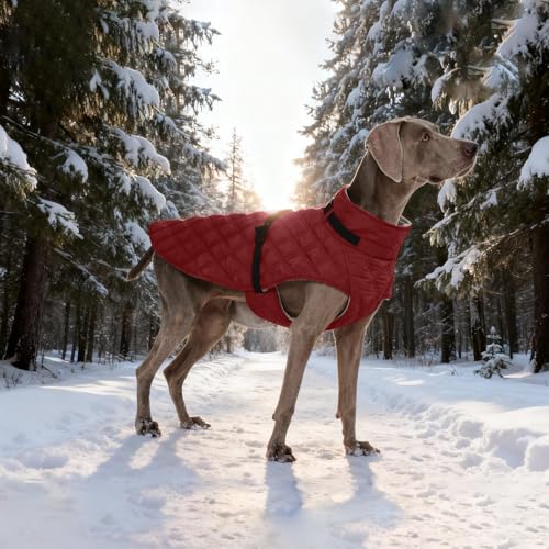 Kuoser Dog Coat Warm Fleece Lining Turtleneck Dog Jacket with Harness Built-in, Adjustable Windproof Cold Weather Coats with Quick Release Buckle Pet Winter Snowsuit for Extra Large Dogs, Red 2XL - color: Red, size: Xx-large (Chest Girth: 35.4")