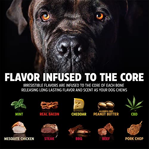 Pet Qwerks Pigs Ear BarkBone - Nylon Dog Bone for Aggressive Chewers - Bacon Flavor - 6" (Pack of 3) - size: 1 Count (Pack of 3)