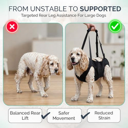Medium Dog Sling Carrier – 27-38 Lb. Dog Sling for Medium Dogs Hind Leg Support – Doggie Lift M Full Body Design with Breathable Mesh and Adjustable Straps for Safe Mobility Assistance