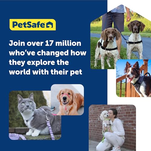 PetSafe Easy Walk Deluxe Dog Harness, No Pull Dog Harness – Perfect for Leash & Harness Training – Stops Pets from Pulling and Choking on Walks – Medium/Large, Steel - color: Steel, size: Medium/Large