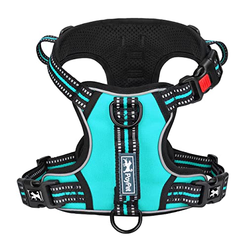 PoyPet No Pull Dog Harness, No Choke Front Clip Reflective Dog Vest with Soft Padded Vertical Handle, 3 Leash Attachments for Small Medium Large Dogs (Mint Blue,XL) - color: Mint Blue, size: Extra Large