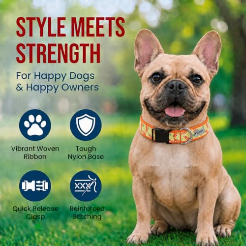 THE WORTHY DOG Spring Holiday Crazy Carrots Dog Collar – Durable Nylon, Woven Ribbon, Quick-Release Buckle, Nickel D-Ring – Green, Medium - color: Crazy Carrots - Green, size: Medium