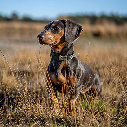 Hikiko Martingale Dog Collars Reflective Nylon Dog Collar with Quick Release Buckle Adjustable Training No Slip Dog Collar (Small, Brown) - color: Brown, size: Small