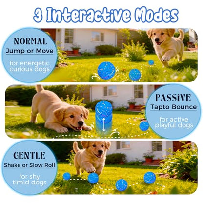 Interactive Dog Toys Ball, Light Up Smart Automatic Dog Ball with 3 Modes, Motion Activated Rolling & Bouncing, Durable ETPU Dog Toy for Small Dogs, Keeps Dogs Busy & Reduces Boredom