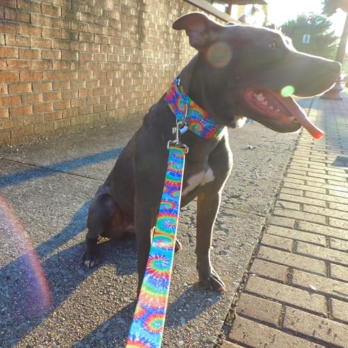 Country Brook Petz - HossFit Jr Wide Martingale Dog Collar - Groovy Collection Featuring Far Out Designs (Classic Tie Dye, Medium) - color: Classic Tie Dye, size: Medium (Pack of 1)