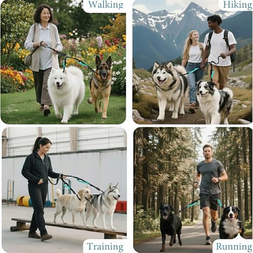 wikiRay Double Dog Leash Coupler for Walking 2 Dogs – No Tangle Dual Dog Splitter with Shock-Absorbing Bungee, Padded Traffic Handles & Reflective Stitching (Sea Green) - color: Sea Green
