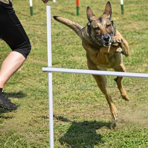 Shappy 4 Pieces Dog Agility Equipment with Adjustable Height Jump Bars Adjustable Dog Agility Jumps with Carry Bag Exercise Jumping Hurdles for Indoor Outdoor Course Game(White) - color: White