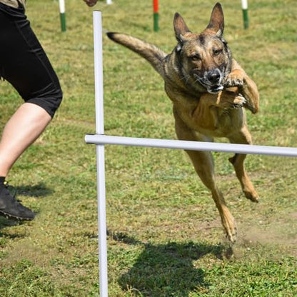 Shappy 4 Pieces Dog Agility Equipment with Adjustable Height Jump Bars Adjustable Dog Agility Jumps with Carry Bag Exercise Jumping Hurdles for Indoor Outdoor Course Game(White) - color: White