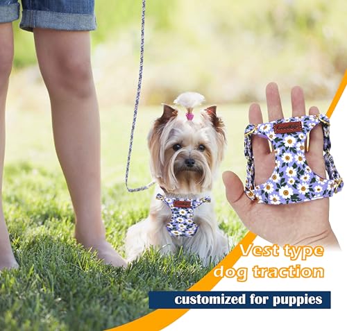 OaaXbbECco No Pull Floral Pattern Dog Harness,Soft Adjustable Dog Harness Vest and Dog Leash Set No Choke Escape Proof (Purple Daisy, XXS) - color: Purple Daisy, size: XXS