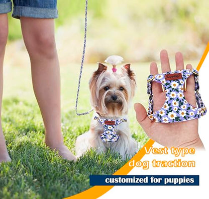 OaaXbbECco No Pull Floral Pattern Dog Harness,Soft Adjustable Dog Harness Vest and Dog Leash Set No Choke Escape Proof (Purple Daisy, XXS) - color: Purple Daisy, size: XXS