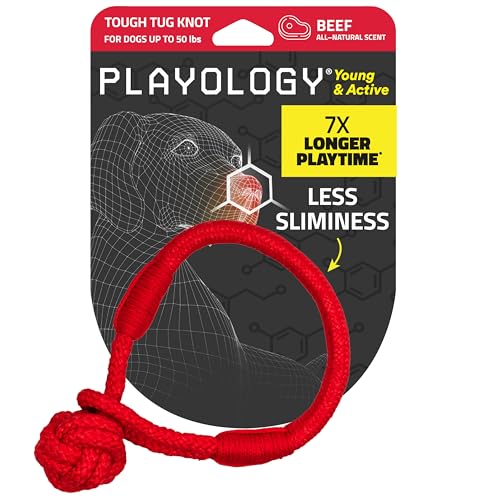 Playology Dog Toys | Tough Tug Knot for Puppies and Young Dogs | Beef Scented Medium Chew Toy Tug Rope | Tug of War Puppy Essentials - size: Medium, style: Beef