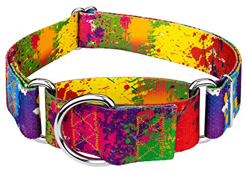 Country Brook Petz - HossFit Jr Wide Martingale Dog Collar - Groovy Collection Featuring Far Out Designs (Paint Splatter, Large) - color: Paint Splatter, size: Large (Pack of 1)