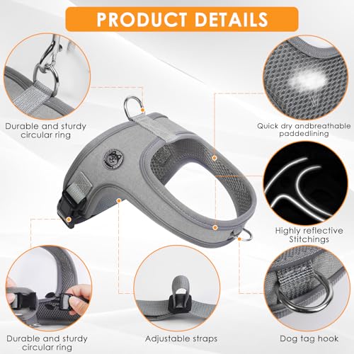 Dog Harness and Leash Set, No Pull Saddle Style Pet Harness, Breathable Mesh Adjustable Reflective Dog Vest for Medium Small Dogs Harness 2 D-Rings, Grey, M - color: Grey, size: M