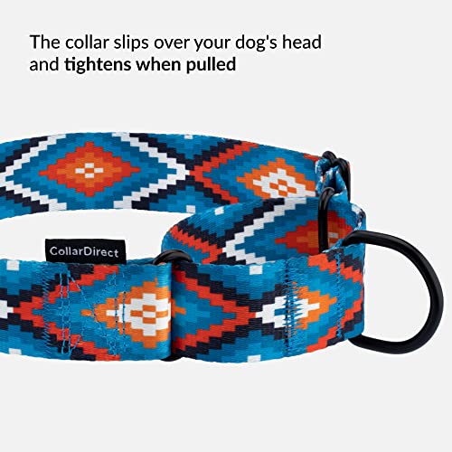 CollarDirect Martingale Dog Collar Heavy Duty Nylon Slip Collars for Small Medium Large Dogs [Nylon, Patterned, Blue Geometric, L, 15"-20"] - color: Blue Geometric, size: Large (Neck Size 15"-20")
