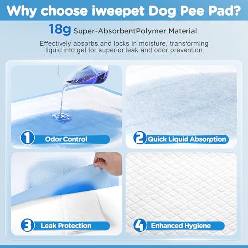 iweepet Enormous 37"x 54" Dog Training Potty Pads, Super Absorbent & Leak-Proof 6 Layers Puppy Pads 30 Counts, Disposable Dog Pee Pads Extra Large for Puppy, Surgery, Older, Cats, Rabbits - size: 37"x54" Blue