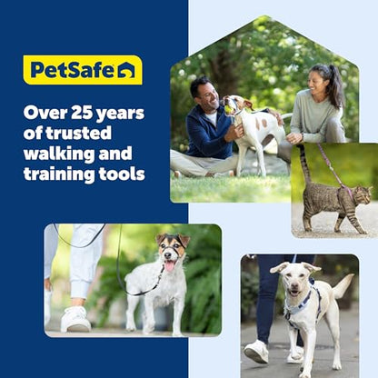 PetSafe Easy Walk Comfort No-Pull Dog Harness Full-Body Padding - Better Walks on the First Use - 5 Points of Adjustment Medium, Blue - color: Blue, size: Medium