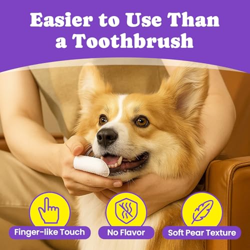 No-Rinse Dog Dental Care Wipes, Cat & Dog tooth brushing kit, Dog Wipes for Pet & Cat Teeth Cleaning, Dog toothbrush Finger Dental Wipes to Remove Plaque & Tartar, Disposable Dog Wipes - 50 Count - color: 1.Dental - Unscented, size: 50 Ct