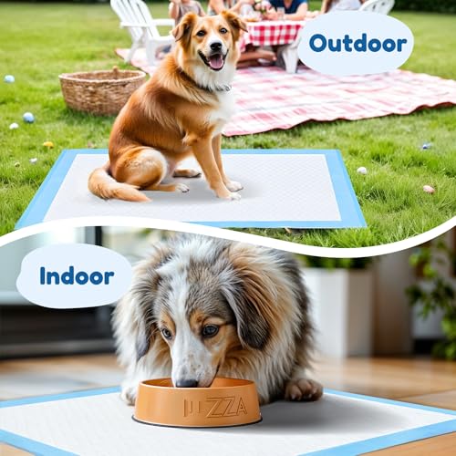 Super Absorbent Waterproof Dog and Puppy Pet Training Pad, Housebreaking Pet Pad, 50-Count Extra Middle-Size, 28’’X34’’, Blue