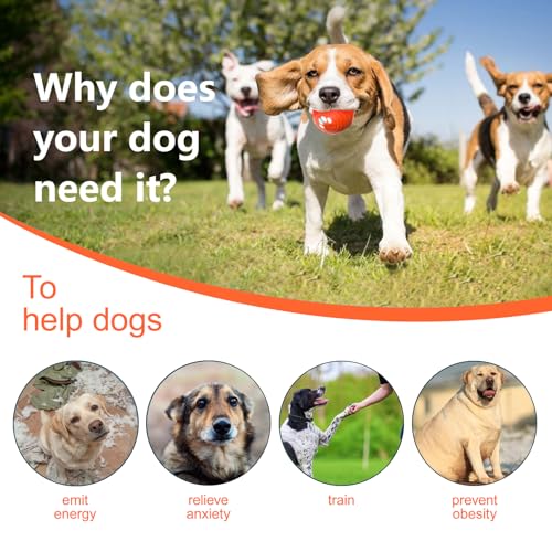 Interactive Dog Ball - Smart Toy for Small and Medium Dogs, Automatic Moving Ball, Rotating & Bouncing, Durable TPU+PC Shell, Toys That Keep Dogs Busy, for Dog (Orange)