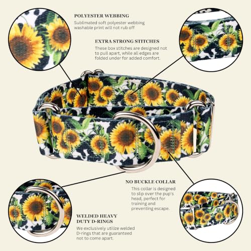 Country Brook Petz - HossFit Jr Wide Martingale Dog Collar - Country and Western Collection (Dairy Fields, Extra Large) - color: Dairy Fields, size: Extra Large (Pack of 1)