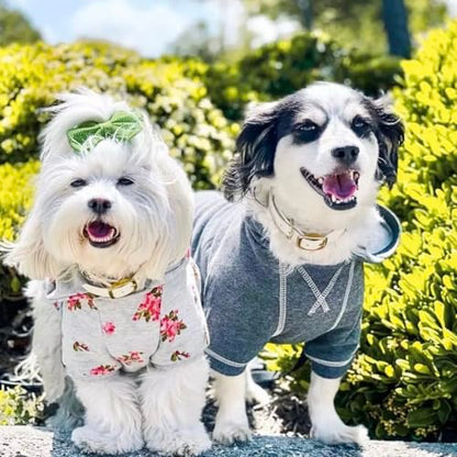 Blueberry Pet Essentials Dog Hoodie – 12 inch, Cotton‑Blend Sweatshirt with Hood, Charcoal Grey, Machine‑Washable Small‑Dog Jersey - color: Dog Hoodie - Charcoal Grey, size: 12 inch (Pack of 1)