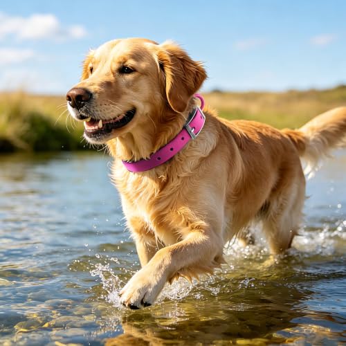 Wisedog Small Puppy Collar, XS 7"-10" × 1/2 in, Rose Violet | Soft Rubber Coated Webbing, Cute Pet Collars, For Small Dogs Cats - color: Rose Violet