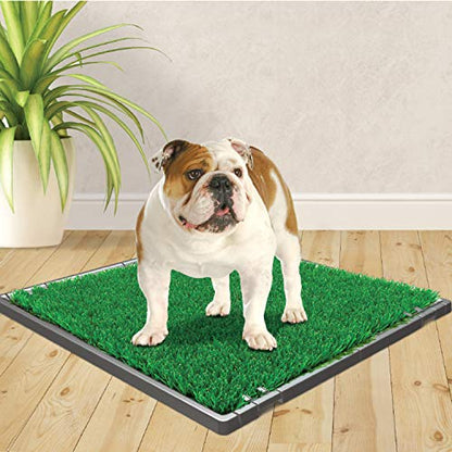 Four Paws Wee-Wee Premium Patch Indoor and Outdoor Pet Potty for Dogs l Dog Potty Training l Artificial Grass l Wee-Wee Patch (Pack of 3) - size: Medium(1 Count) (Pack of 3), style: Patch
