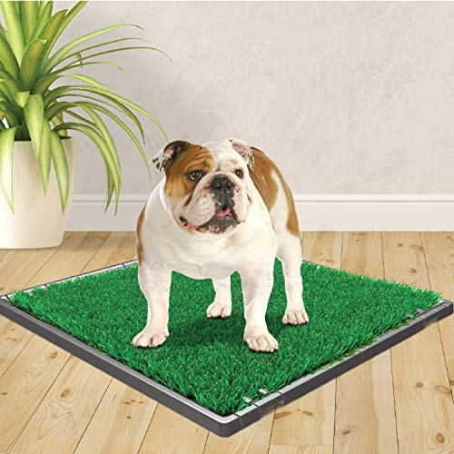 Four Paws Wee-Wee Premium Patch Indoor and Outdoor Pet Potty for Dogs l Dog Potty Training l Artificial Grass l Wee-Wee Patch - size: Medium(1 Count), style: Patch
