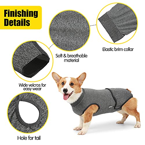 HEYWEAN Full Body Dog Diaper with a Puppy Nappies Physiological Dog Surgery Recovery Suit for Male Female Dogs - color: Grey, size: X-Small