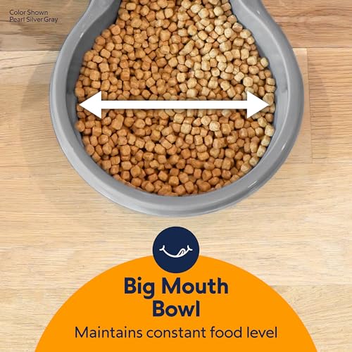 Petmate Replendish Automatic Dog Feeder Gravity Pet Treat Dispenser with Microban Protection Base, Wide Mouth Bowl, 100% BPA Free - 10 lb - size: Large